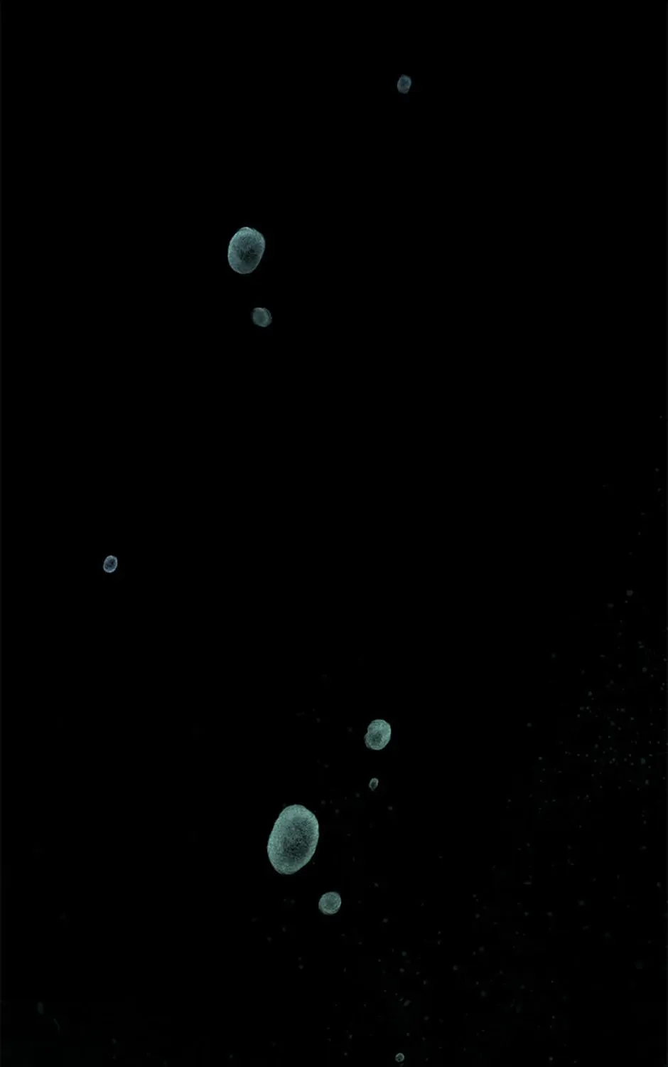 Rebirth in Paradise Chapter 38 page 1 - 