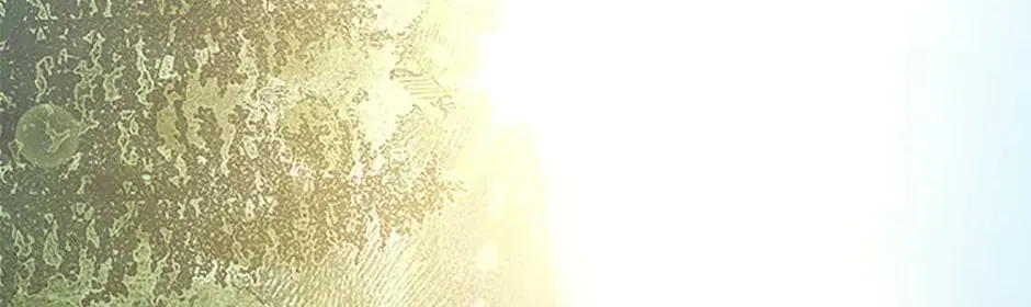 Rebirth in Paradise Chapter 42 page 432 - 