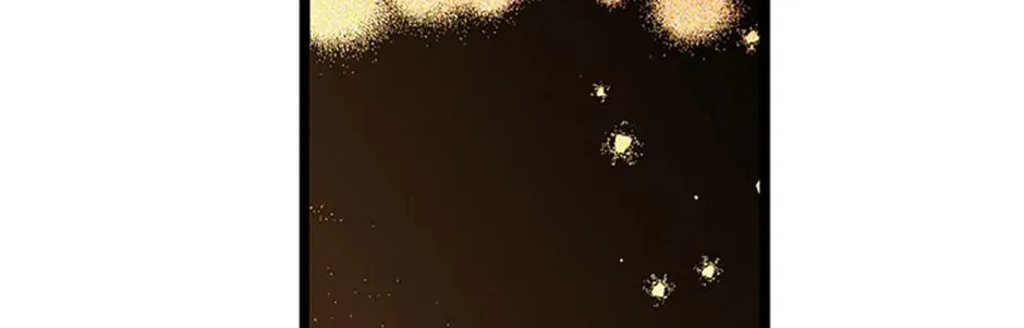 Rebirth in Paradise Chapter 55 page 162 - 