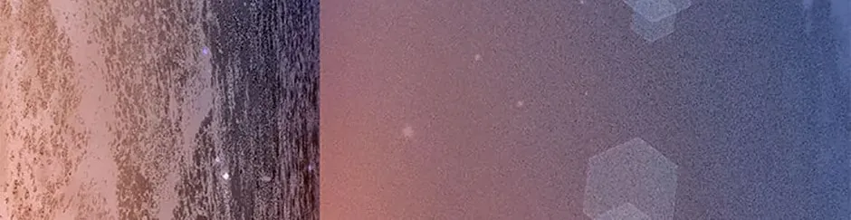 Rebirth in Paradise Chapter 55 page 194 - 