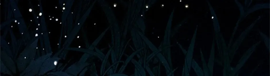 Rebirth in Paradise Chapter 67 page 44 - 