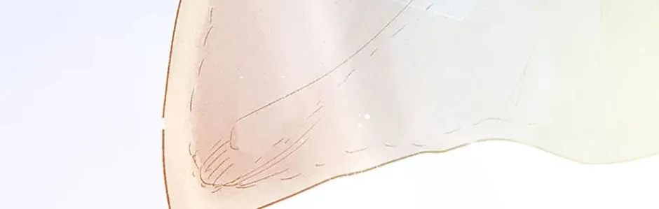 Rebirth in Paradise Chapter 75 page 186 - 