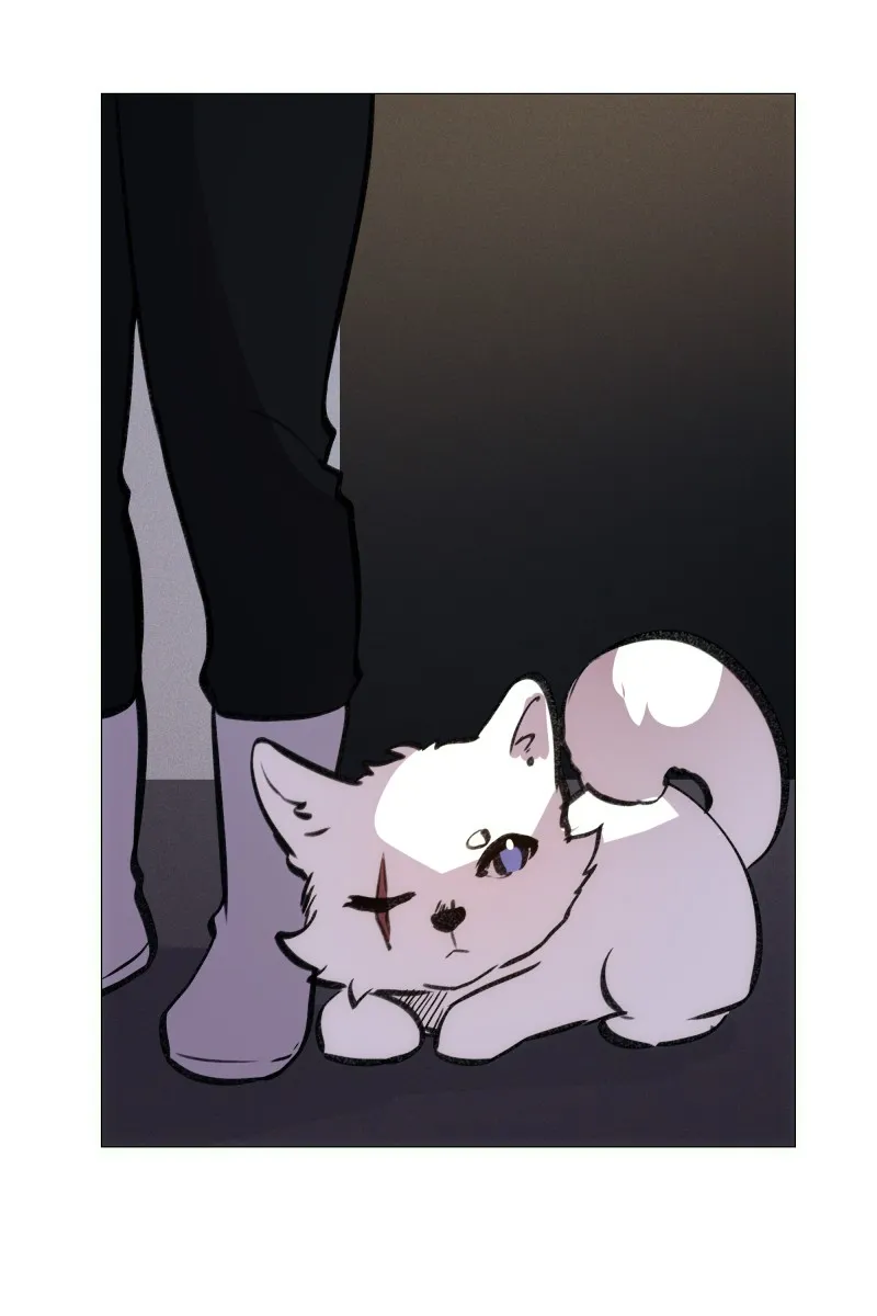 Rebirth Chapter 156 page 3 - 