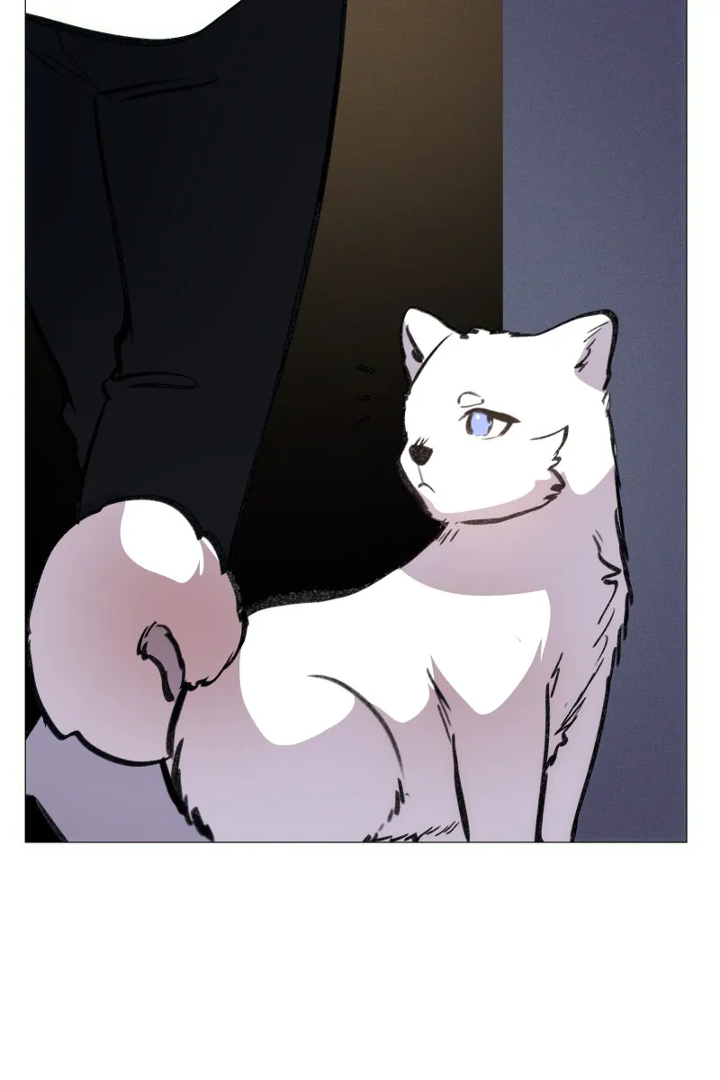 Rebirth Chapter 156 page 37 - 