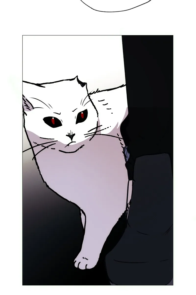 Rebirth Chapter 168 page 73 - 