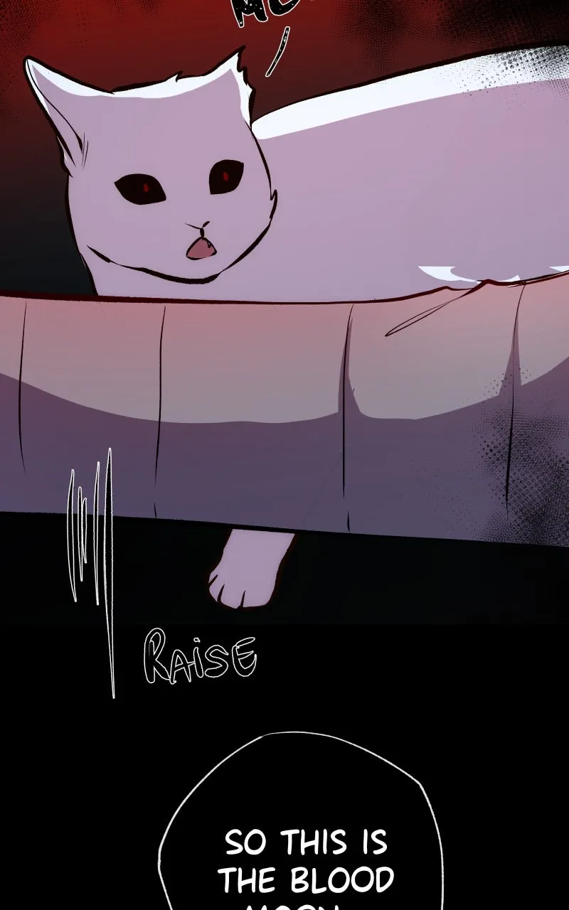 Rebirth Chapter 193 page 65 - 