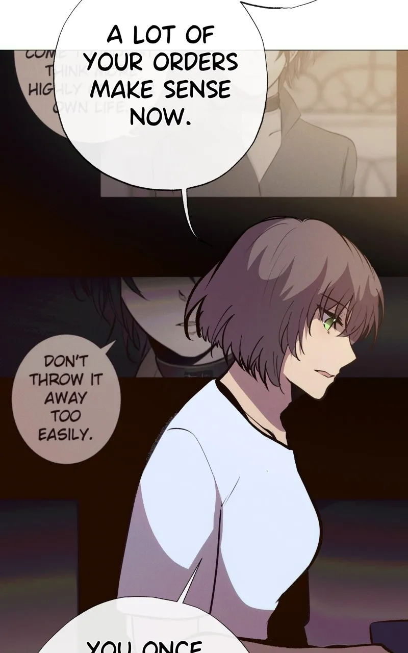 Rebirth Chapter 203 page 13 - 