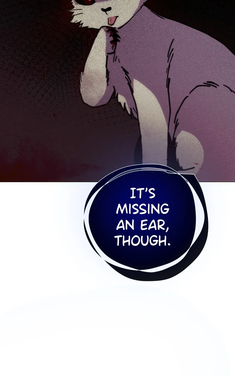 Rebirth Chapter 203 page 70 - 