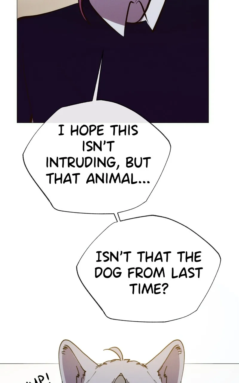 Rebirth Chapter 208 page 73 - 
