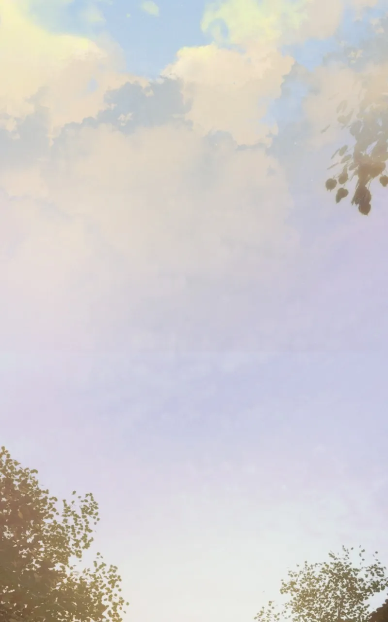 Rebirth Chapter 210 page 22 - 