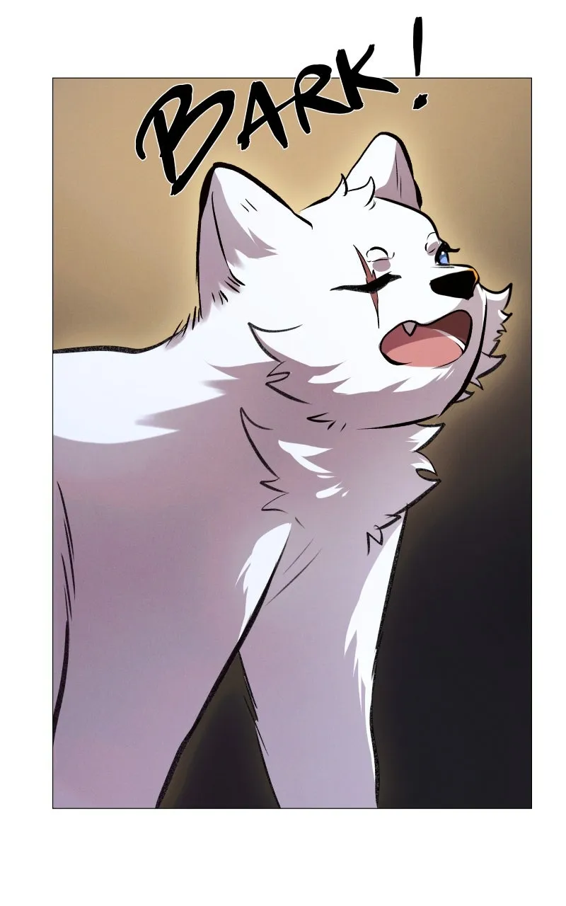 Rebirth Chapter 211 page 79 - 