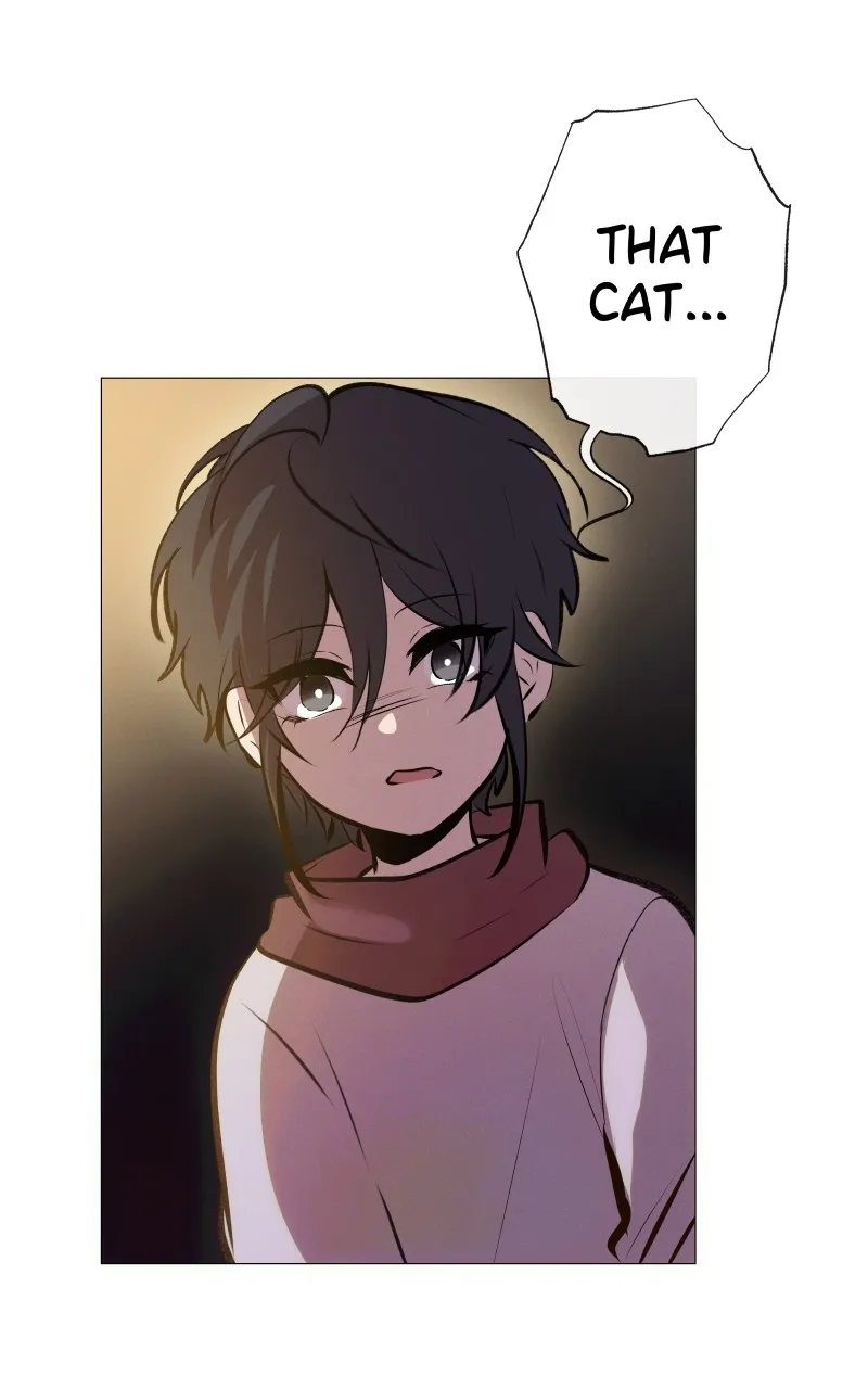 Rebirth Chapter 211 page 81 - 