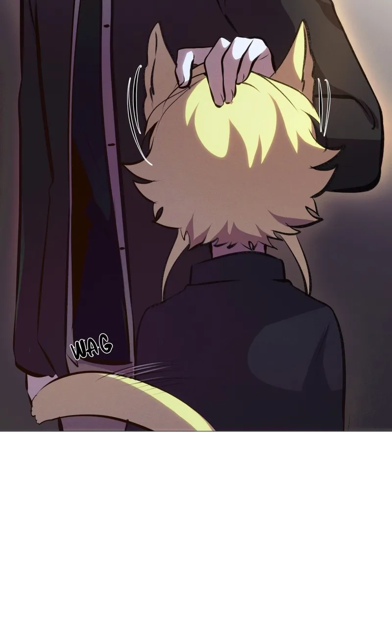 Rebirth Chapter 216 page 19 - 