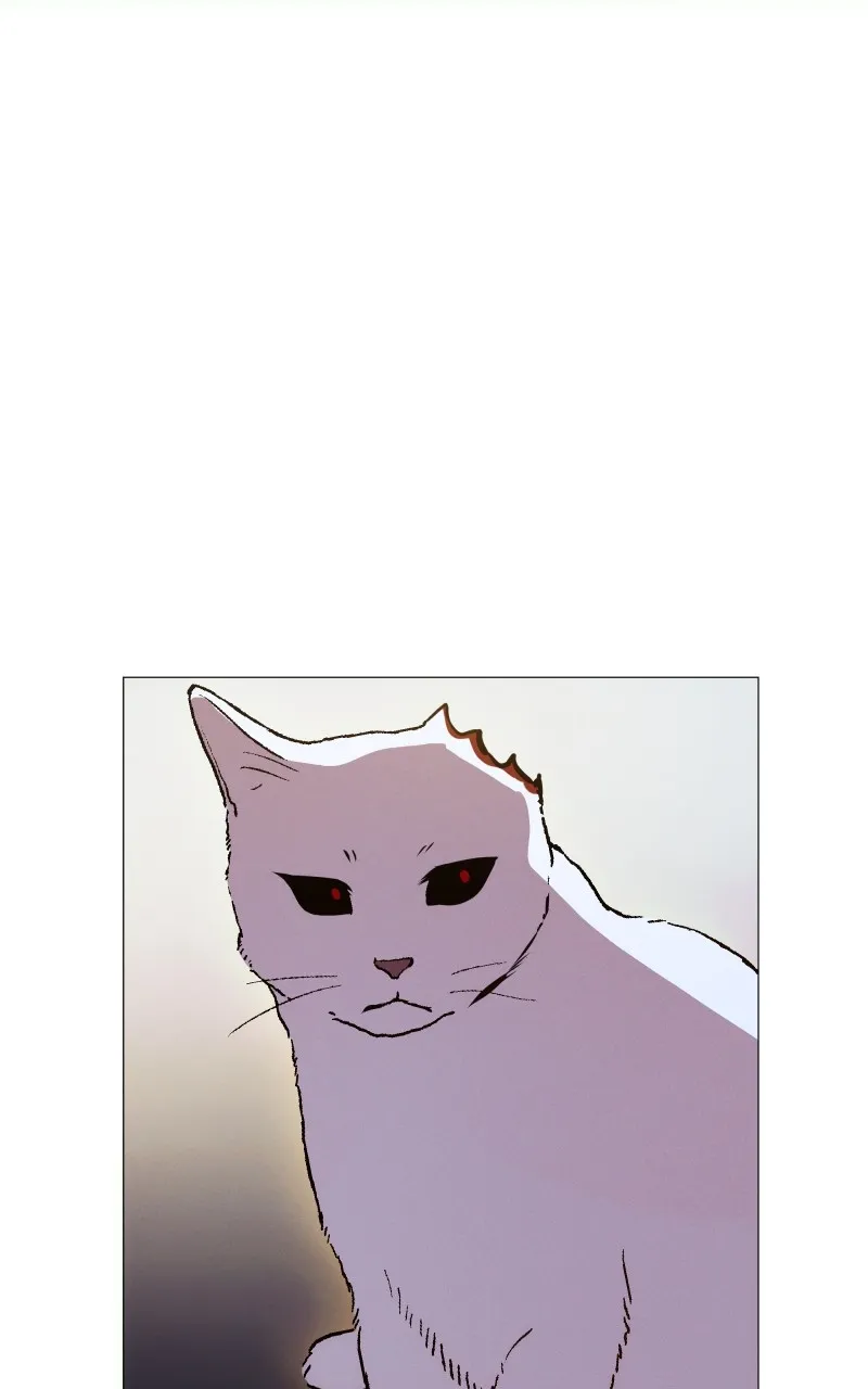 Rebirth Chapter 217 page 49 - 