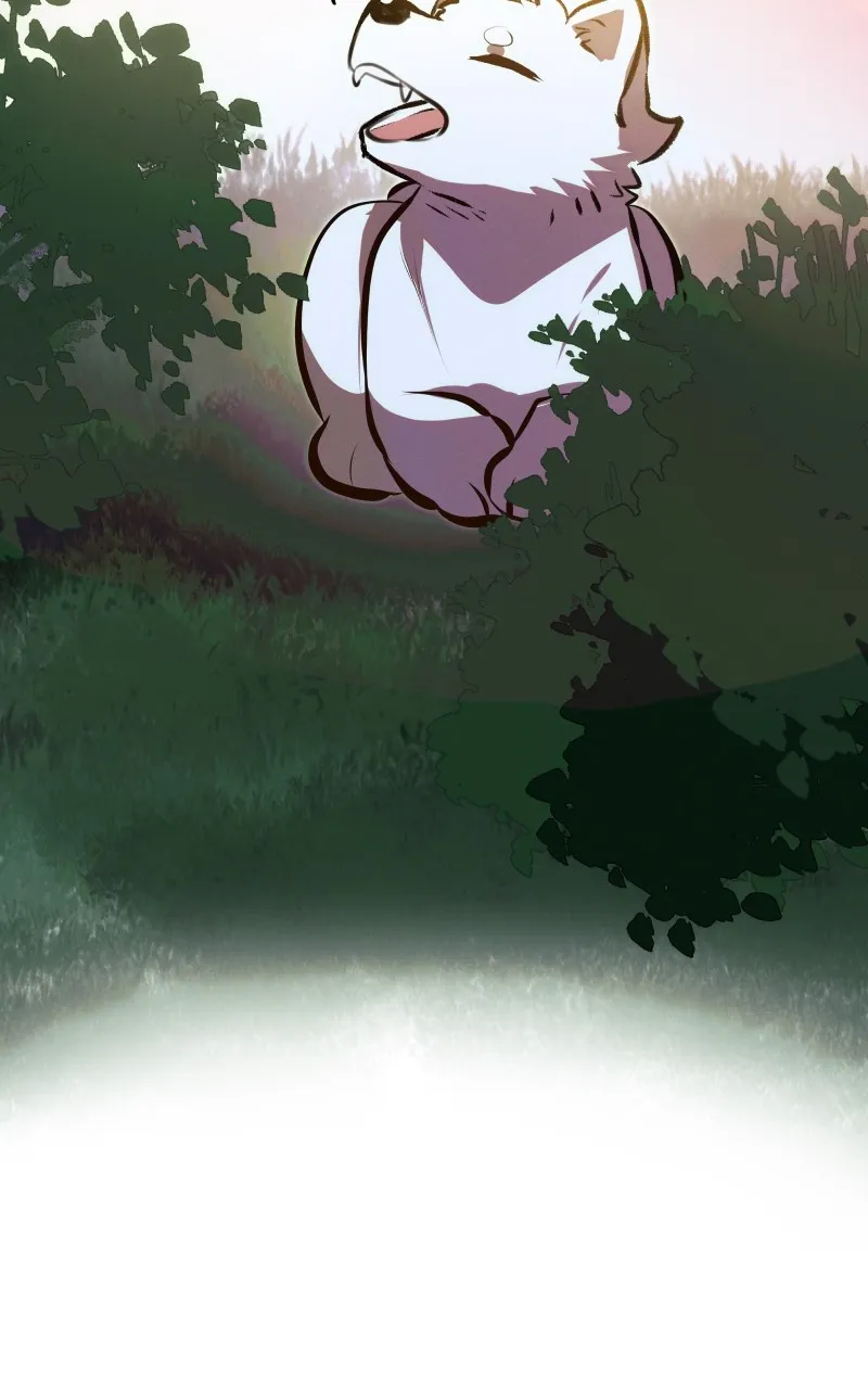 Rebirth Chapter 220 page 34 - 