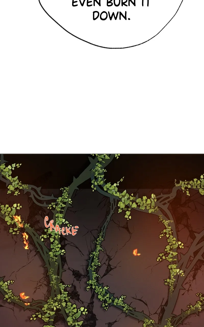 Rebirth Chapter 224 page 64 - 