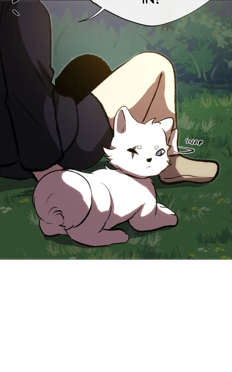 Rebirth Chapter 228 page 17 - 