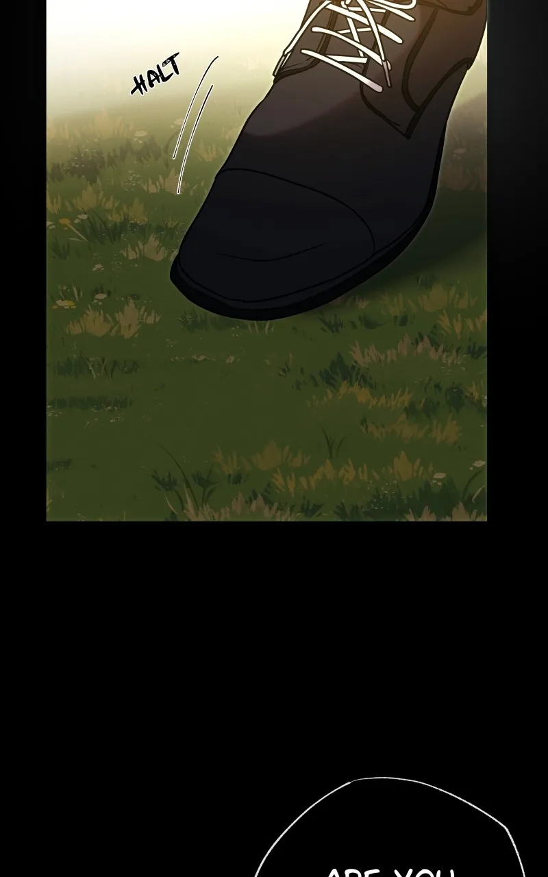 Rebirth Chapter 231 page 13 - 