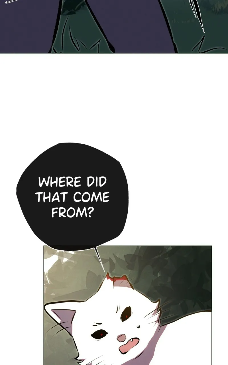 Rebirth Chapter 235 page 19 - 