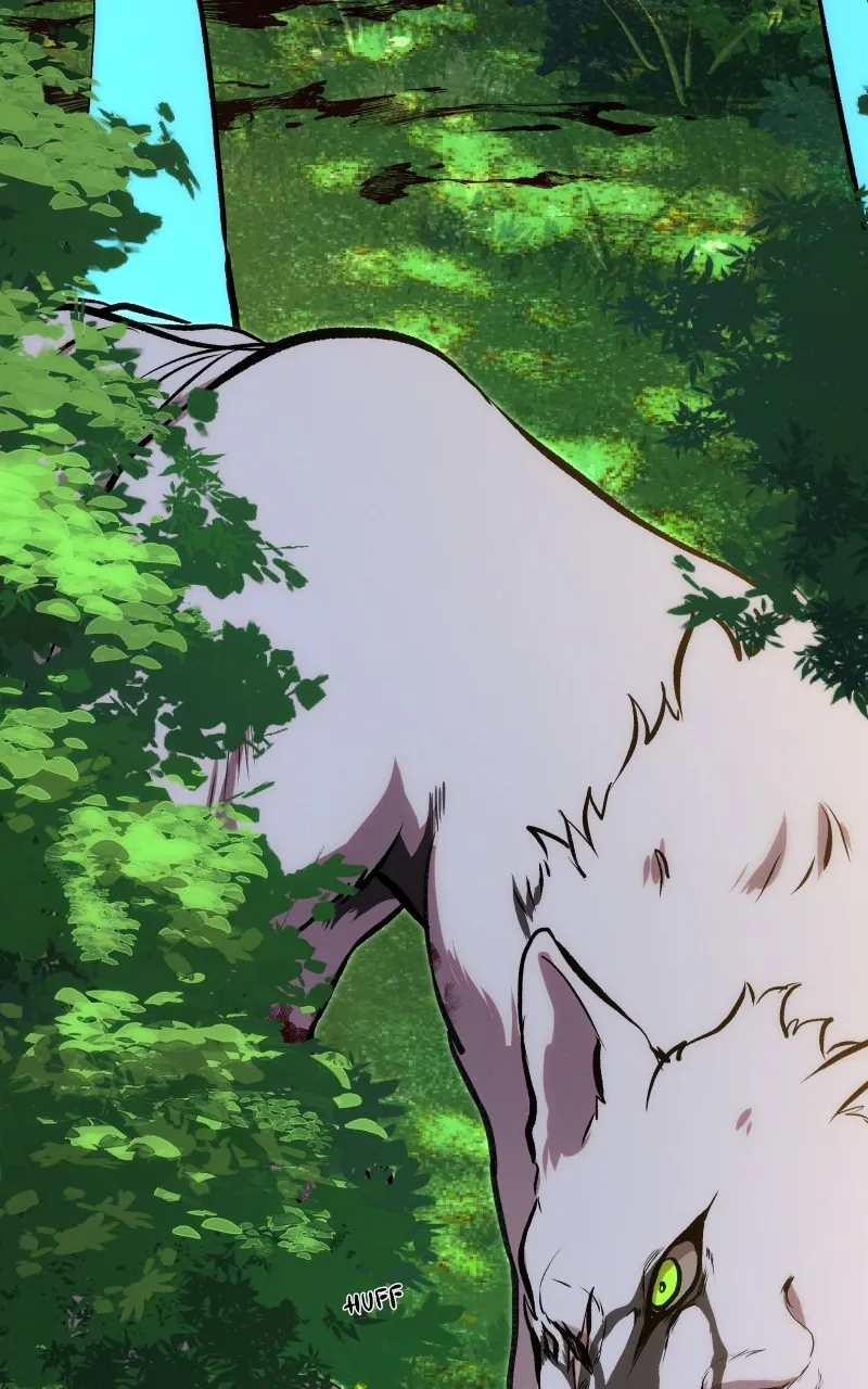 Rebirth Chapter 237 page 51 - 