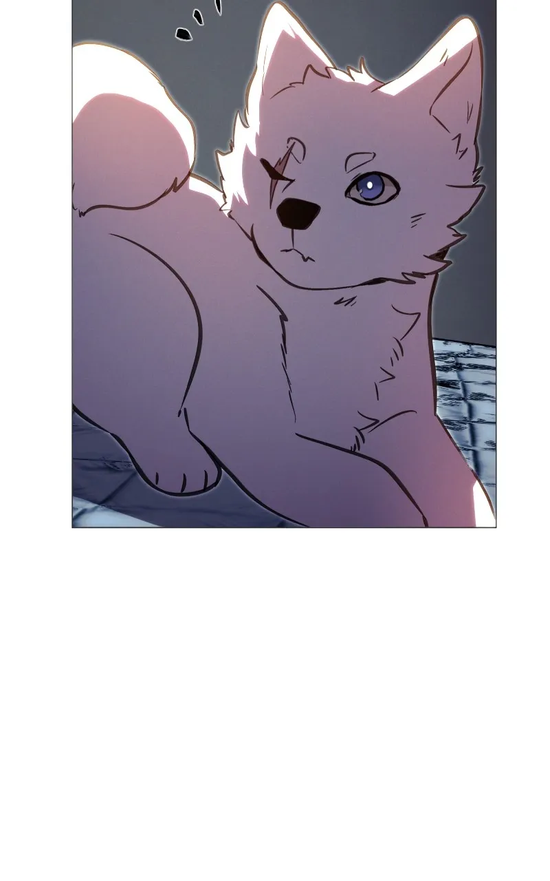 Rebirth Chapter 238 page 77 - 
