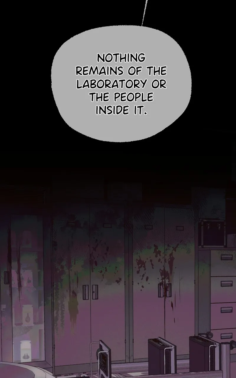 Rebirth Chapter 241 page 13 - 