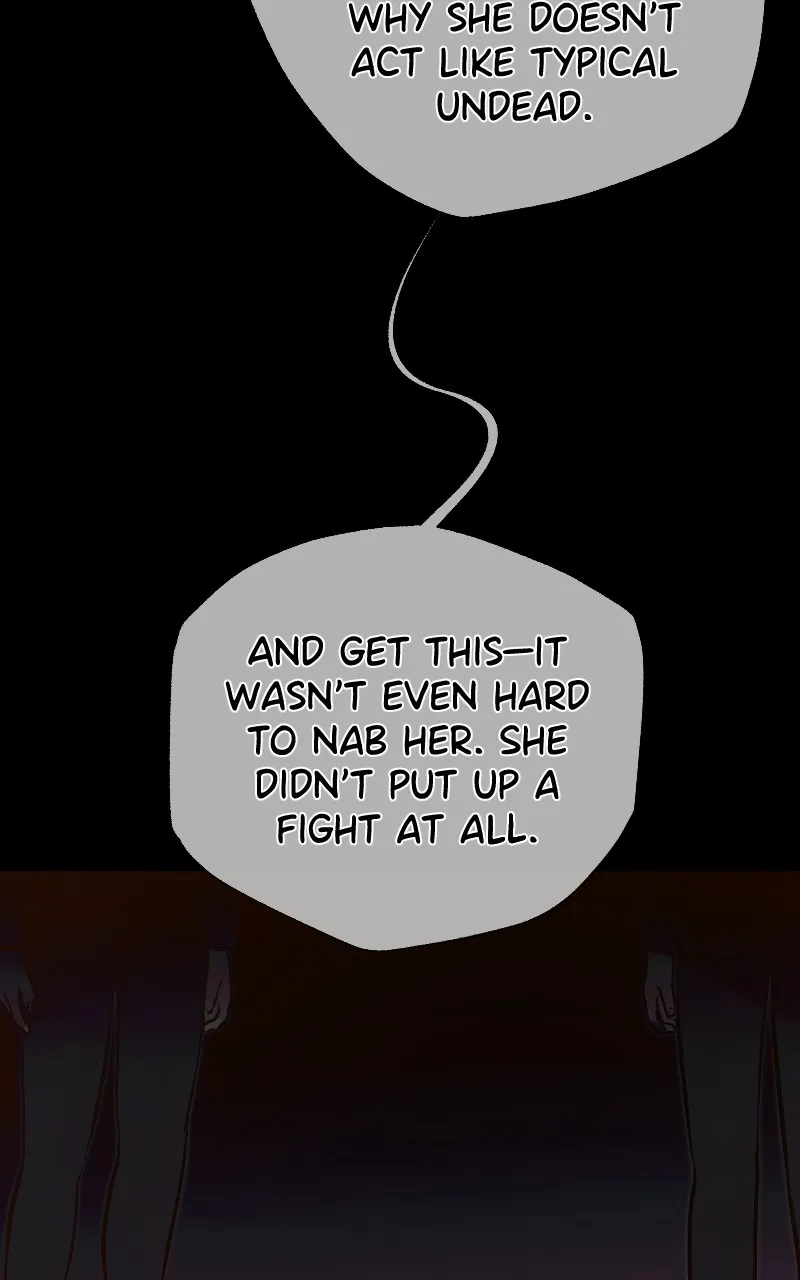 Rebirth Chapter 241 page 19 - 