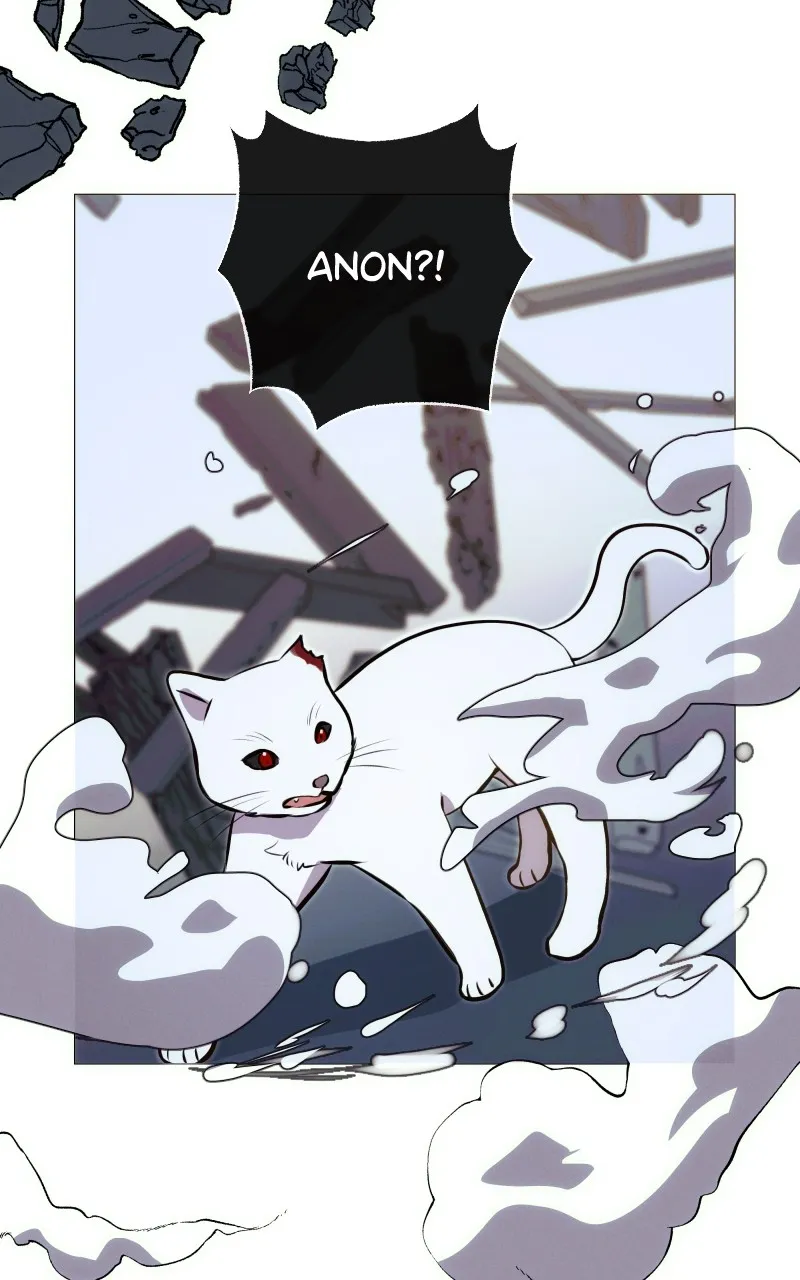 Rebirth Chapter 243 page 19 - 