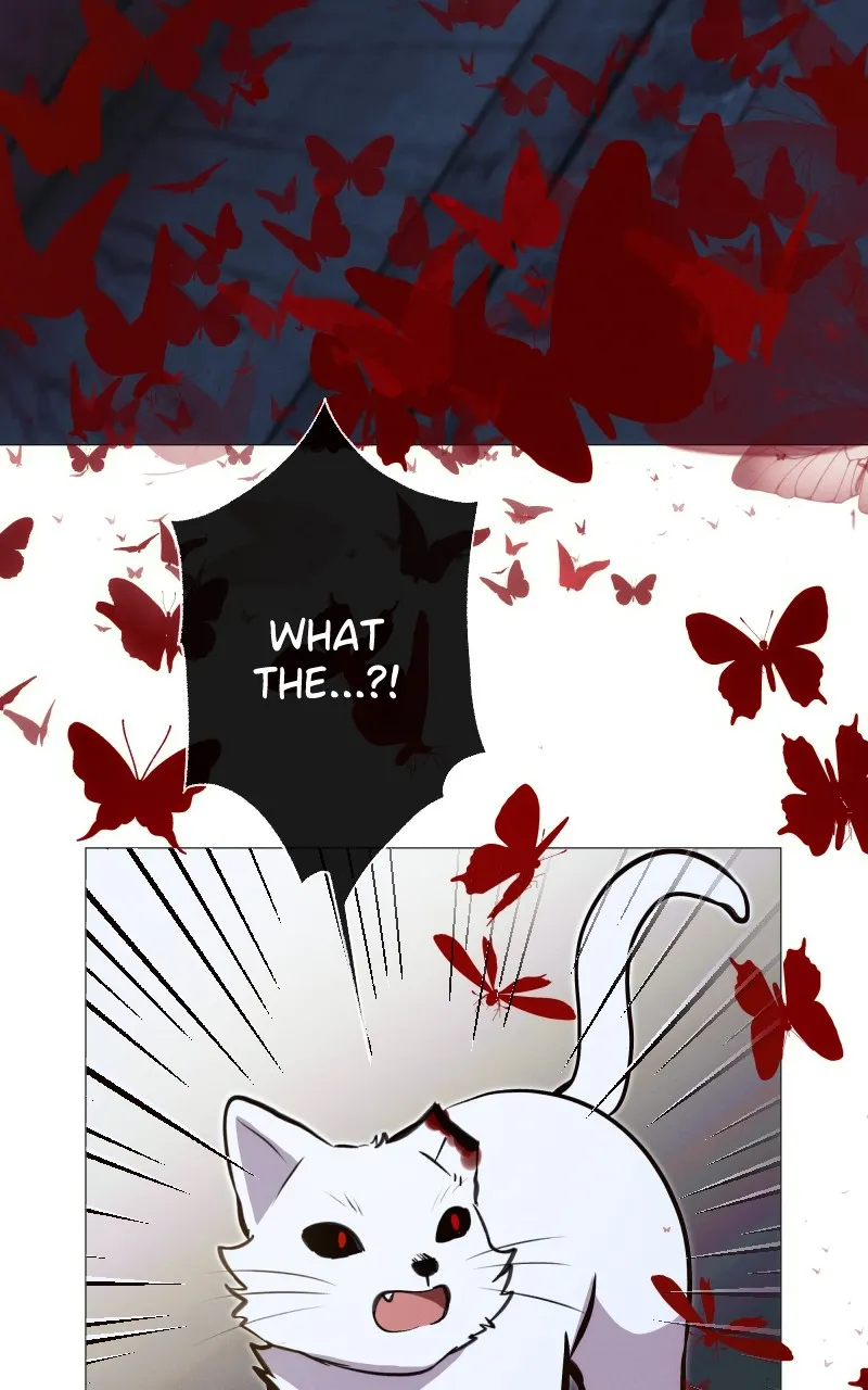 Rebirth Chapter 243 page 8 - 