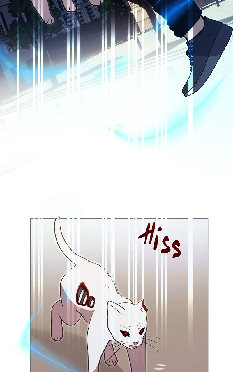 Rebirth Chapter 243 page 86 - 
