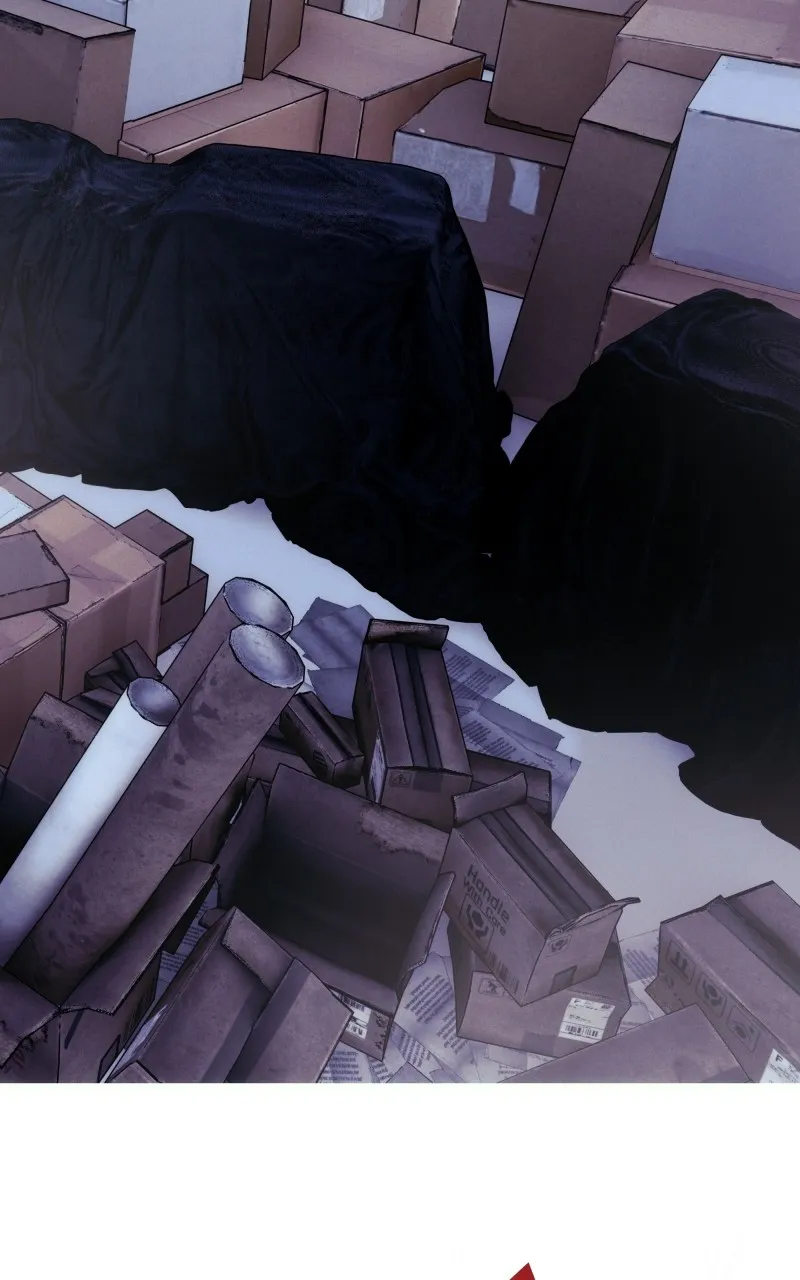 Rebirth Chapter 244 page 2 - 