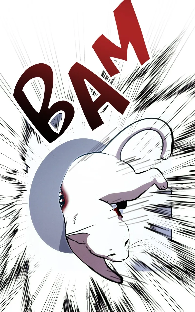 Rebirth Chapter 244 page 3 - 