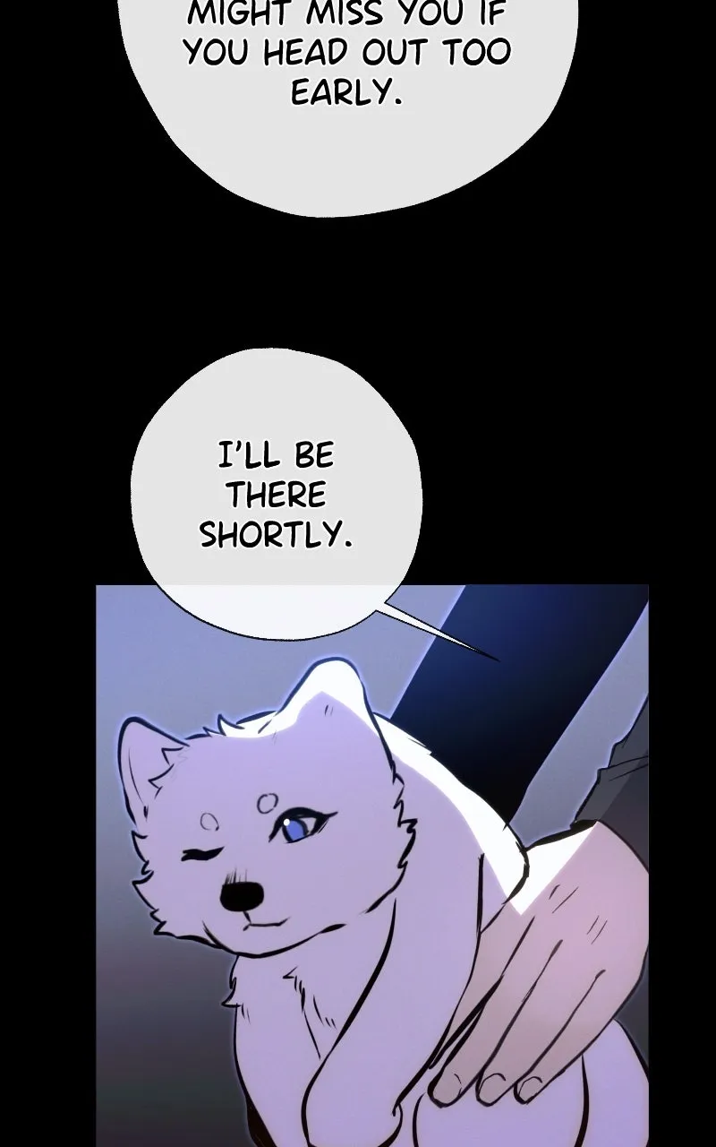 Rebirth Chapter 249 page 73 - 