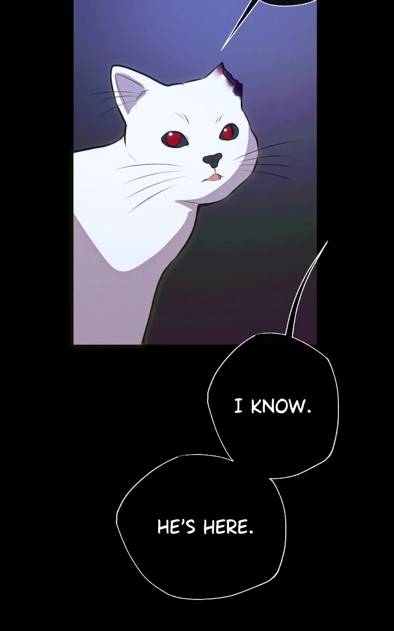 Rebirth Chapter 249 page 86 - 