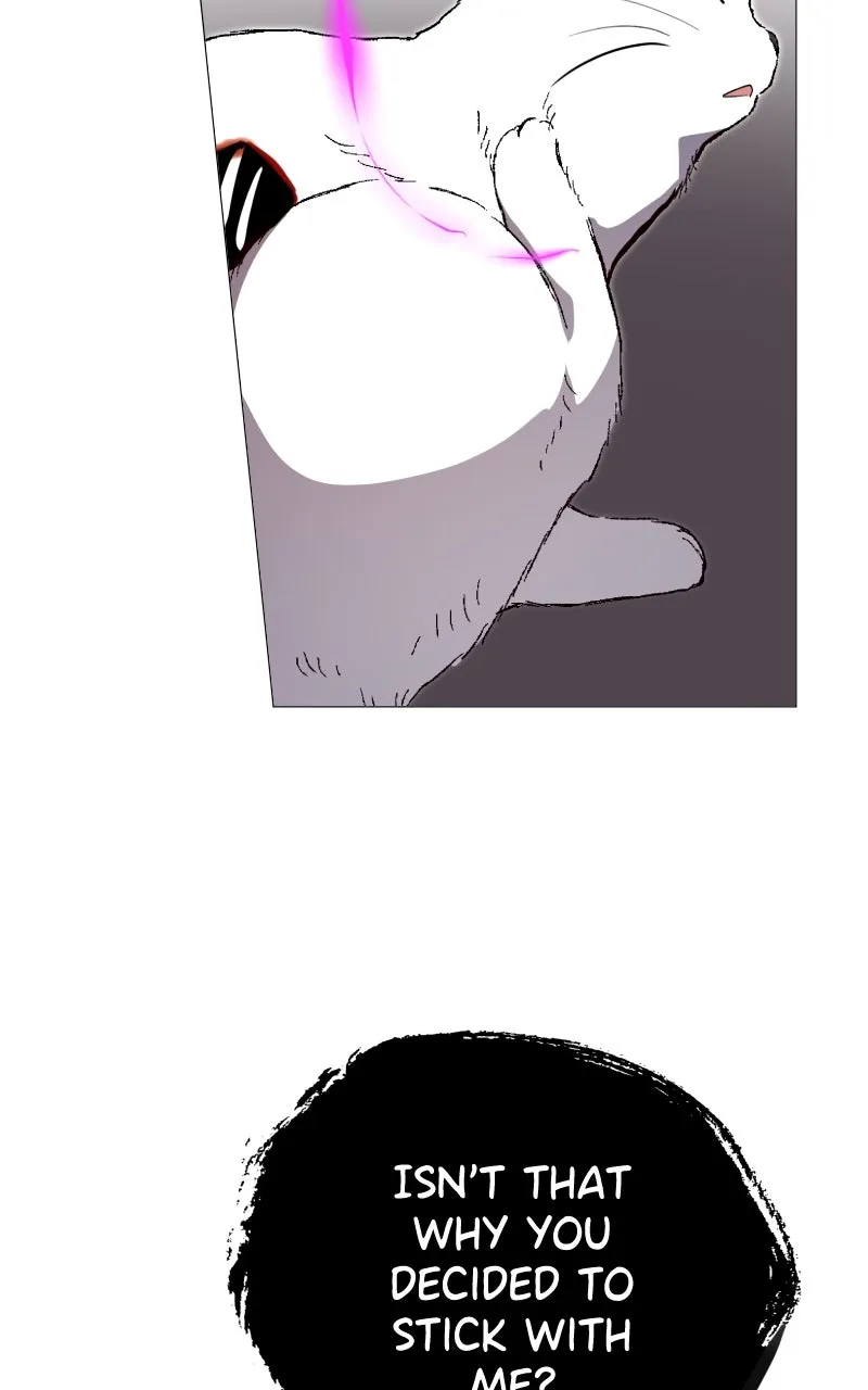 Rebirth Chapter 252 page 70 - 
