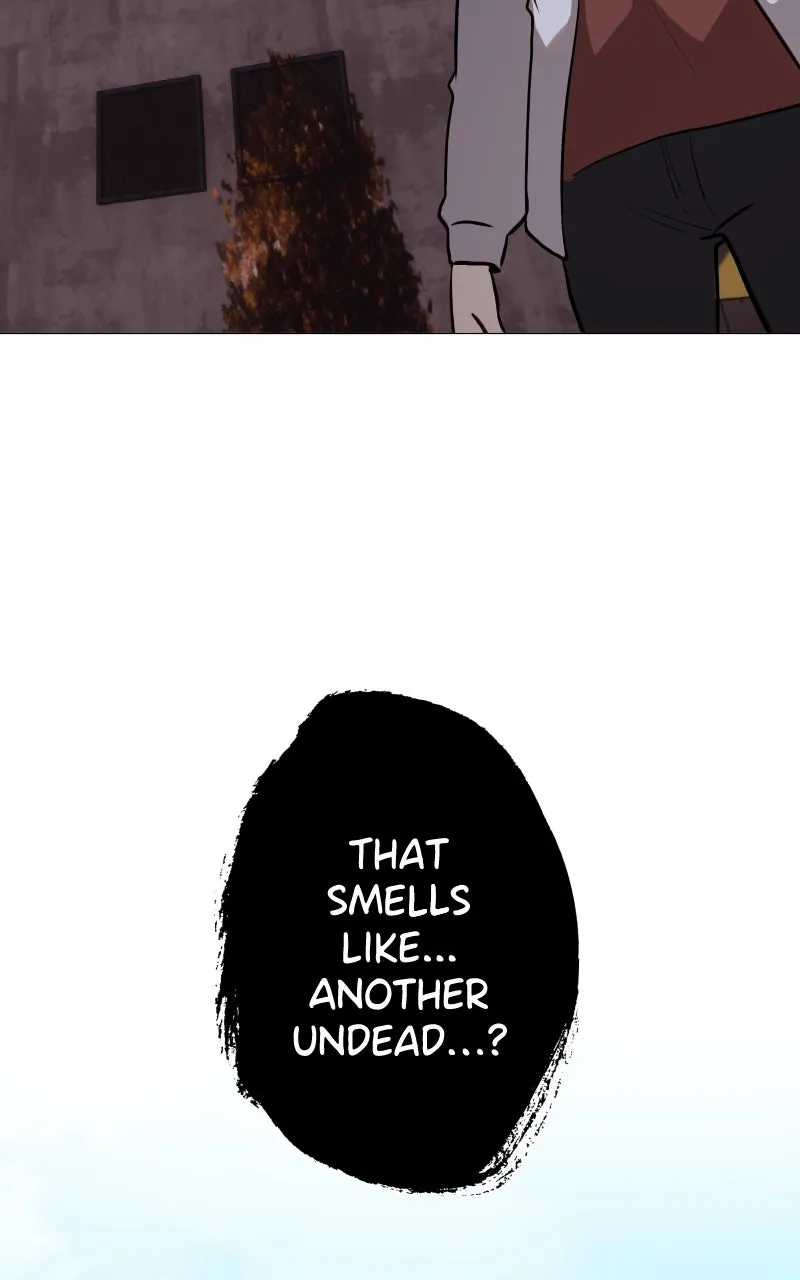 Rebirth Chapter 252 page 83 - 