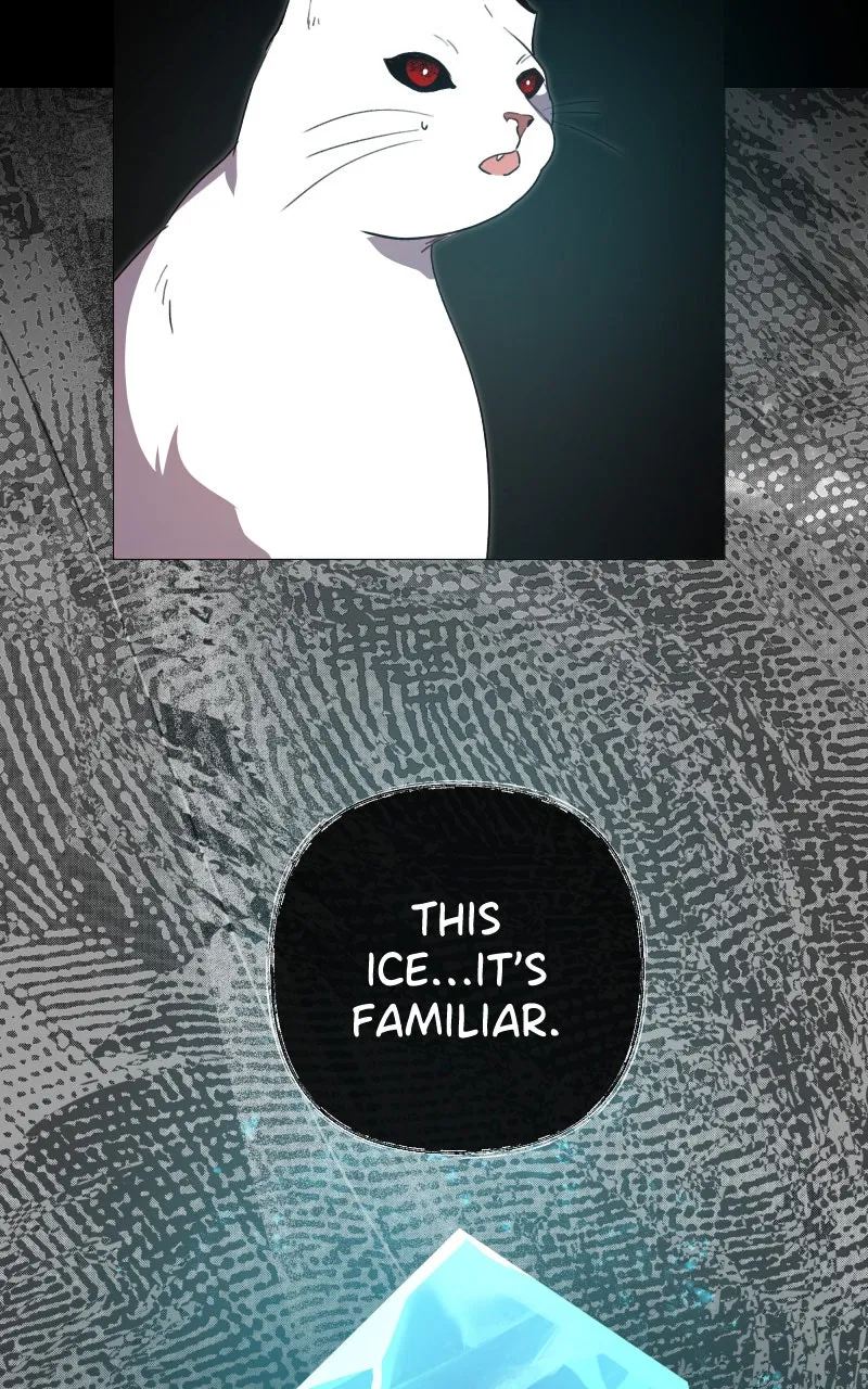 Rebirth Chapter 253 page 81 - 