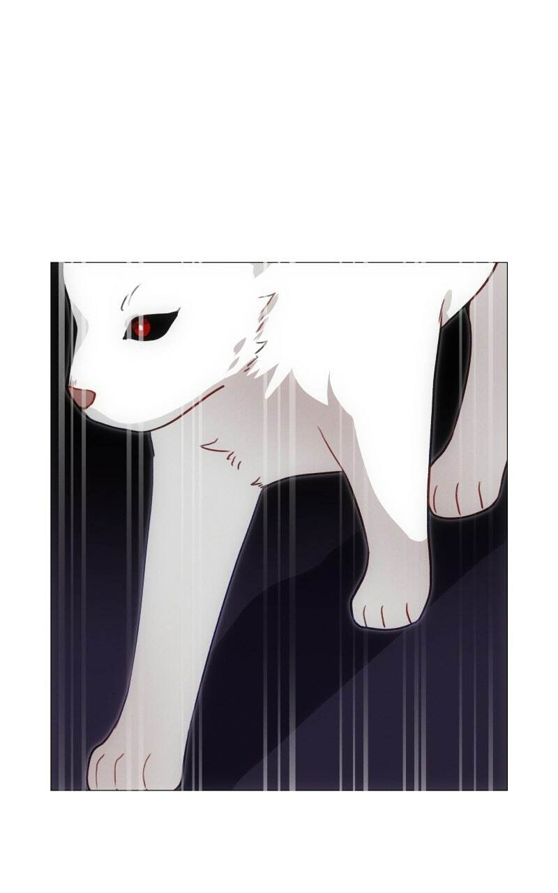Rebirth Chapter 256 page 1 - 