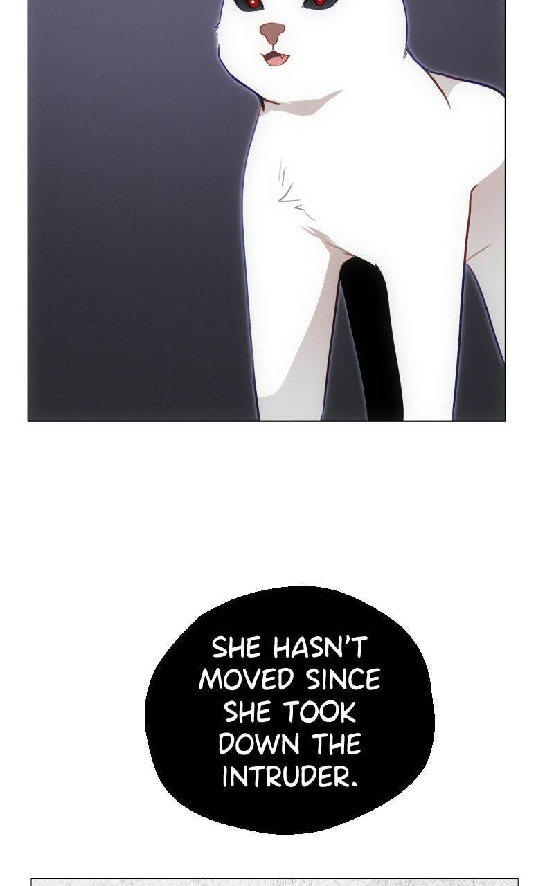 Rebirth Chapter 256 page 16 - 