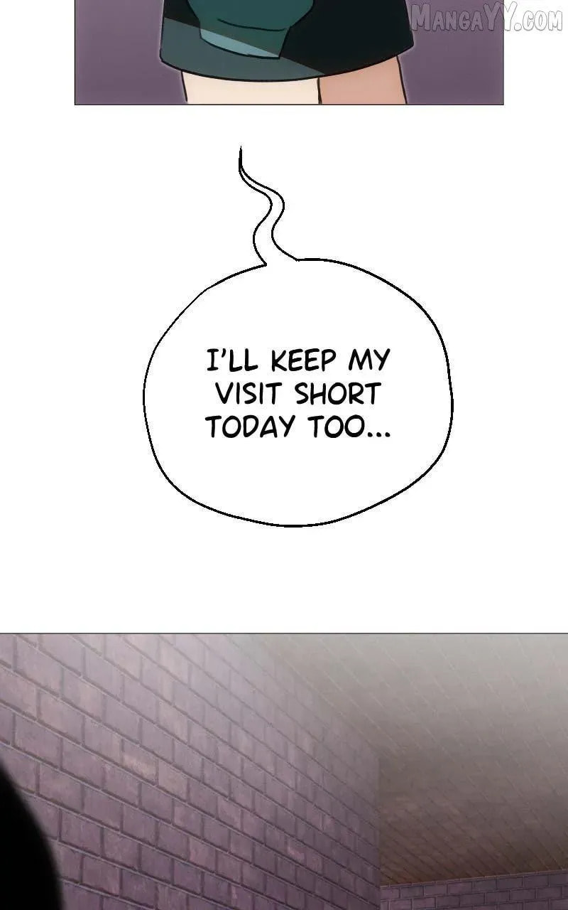 Rebirth Chapter 258 page 40 - 