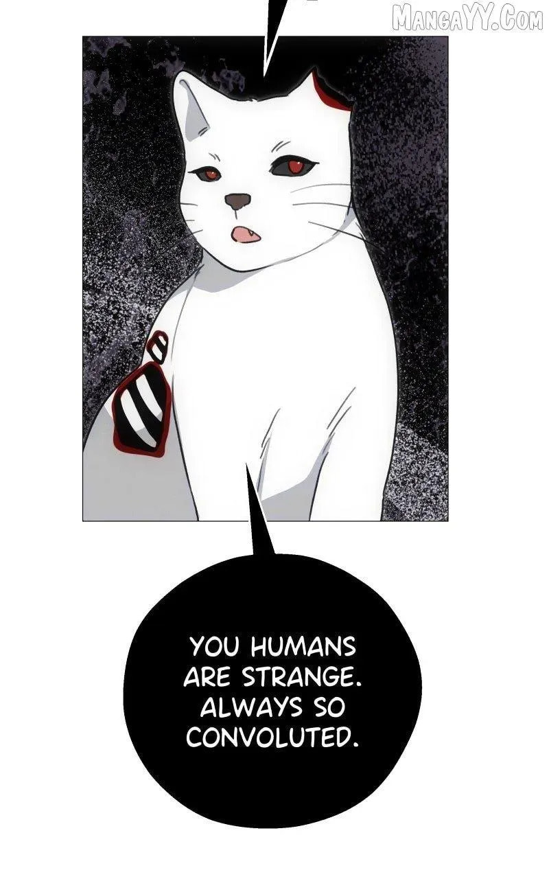 Rebirth Chapter 259 page 56 - 
