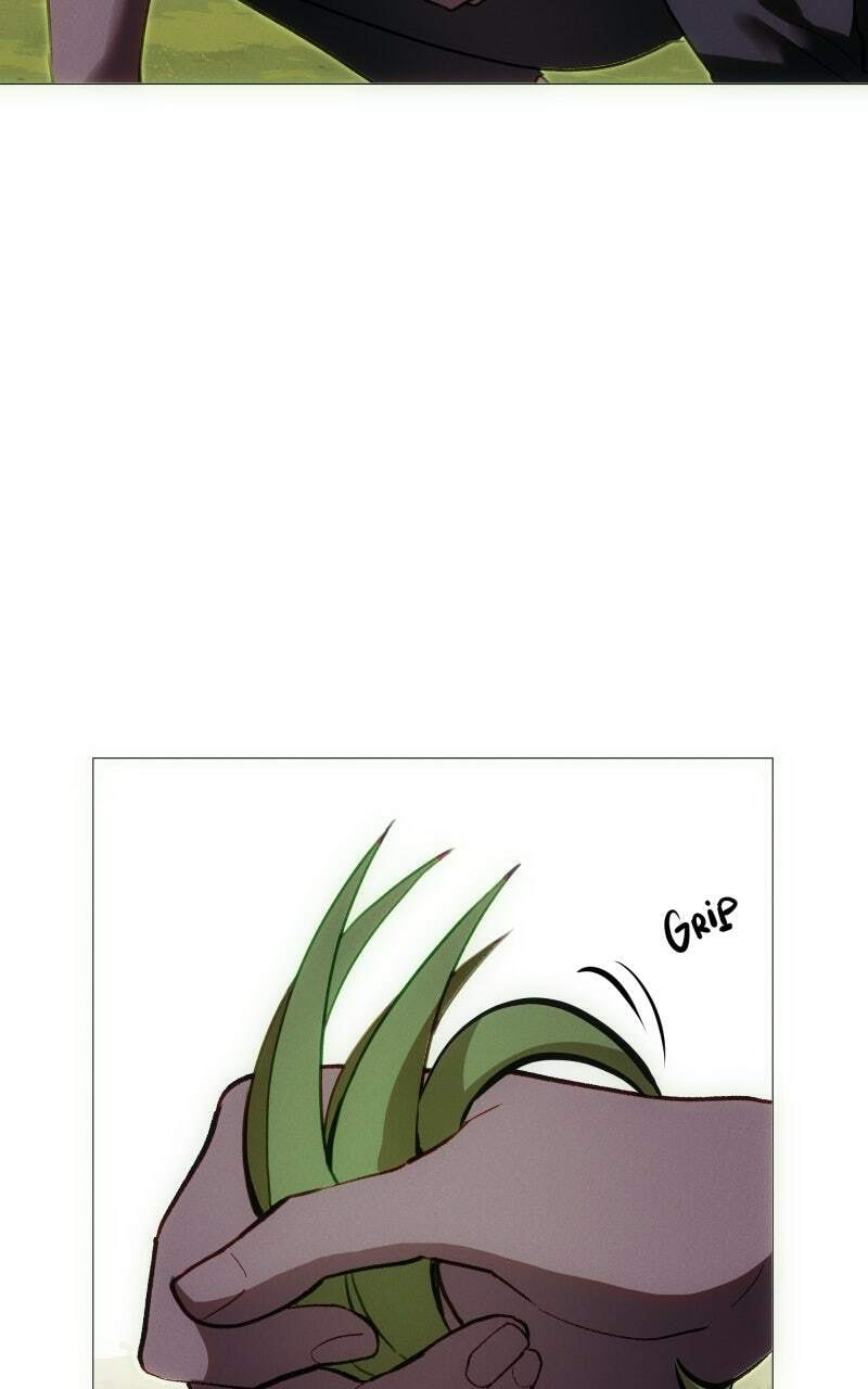 Rebirth Chapter 261 page 43 - 