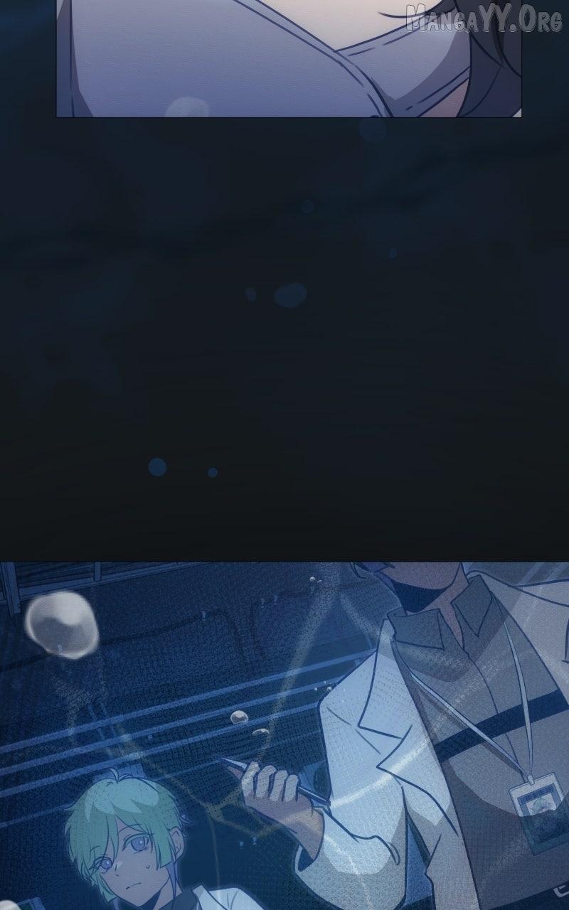 Rebirth Chapter 266 page 36 - 