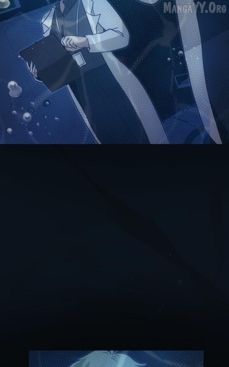 Rebirth Chapter 266 page 37 - 