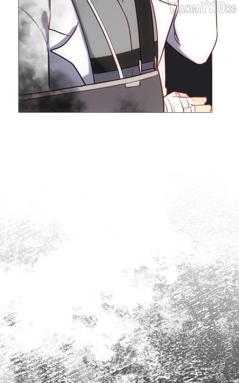 Rebirth Chapter 271 page 52 - 