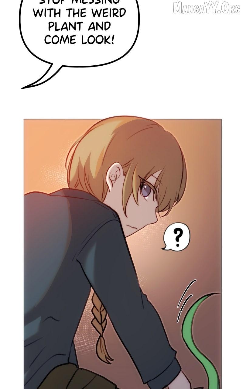 Rebirth Chapter 274 page 5 - 