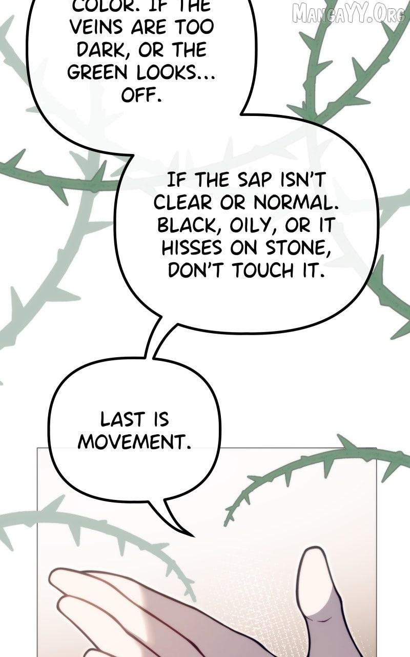 Rebirth Chapter 274 page 86 - 