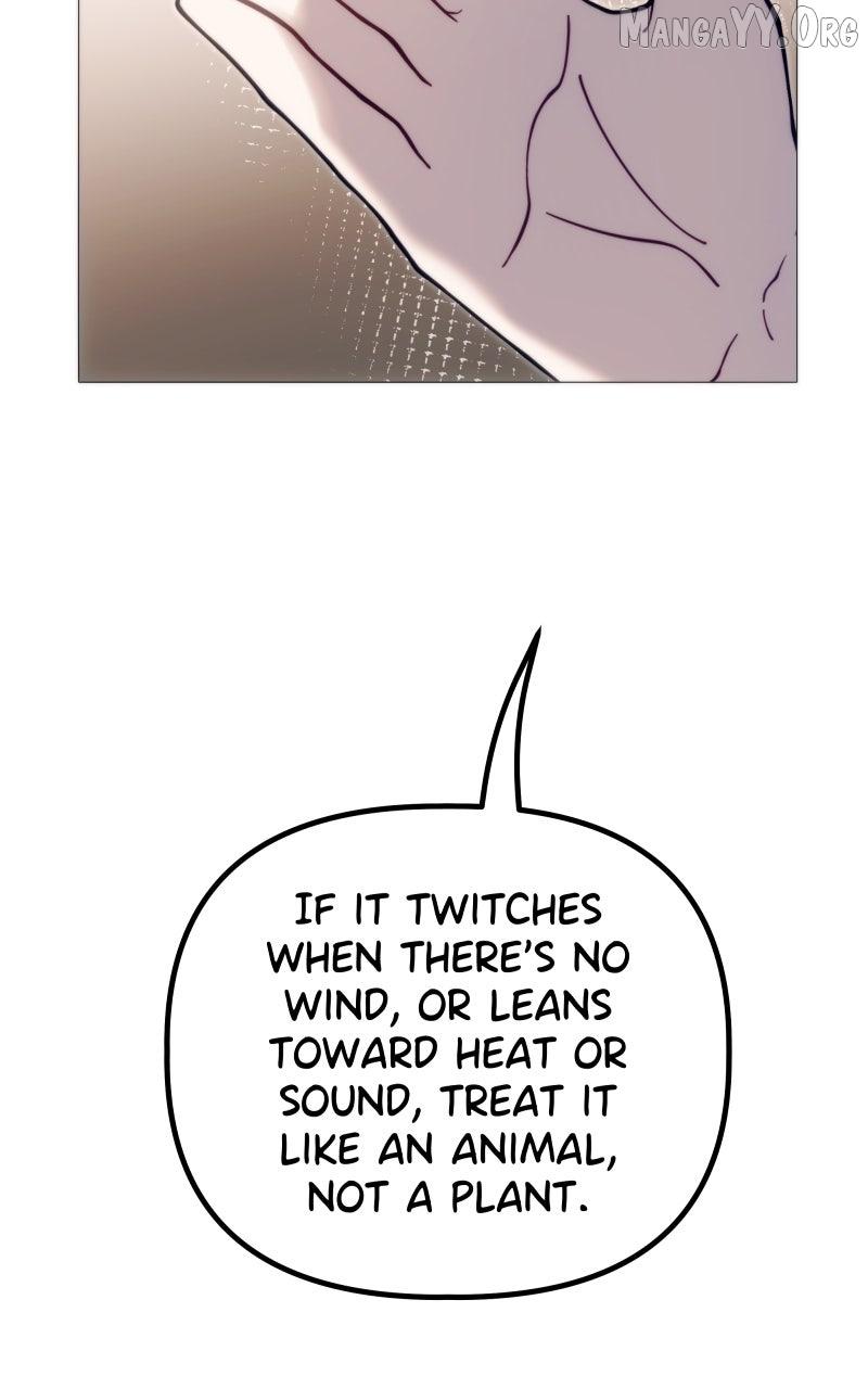 Rebirth Chapter 274 page 87 - 