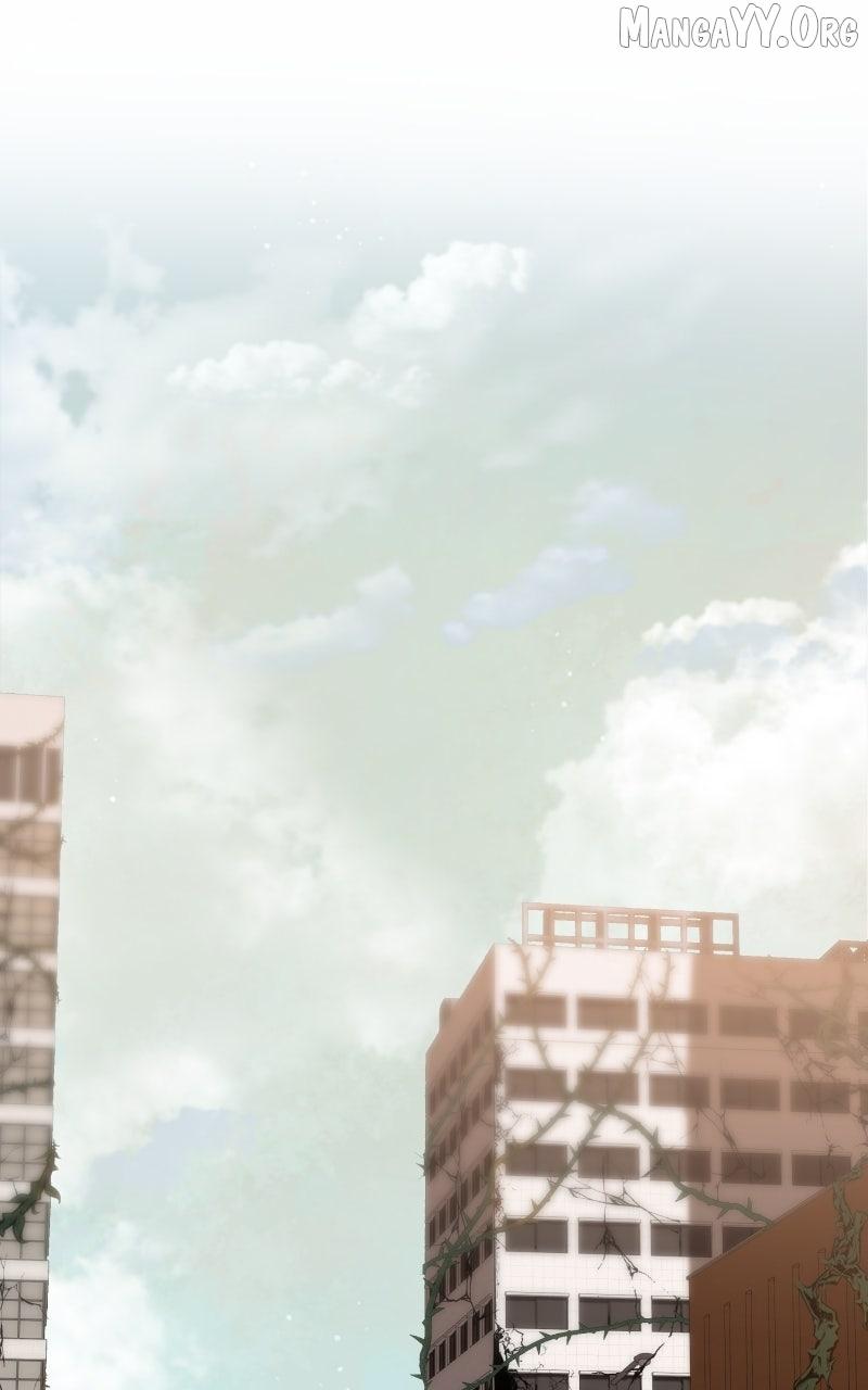 Rebirth Chapter 275 page 1 - 