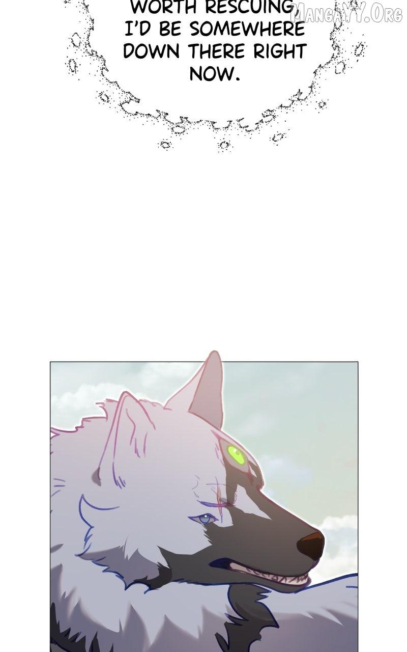 Rebirth Chapter 275 page 12 - 